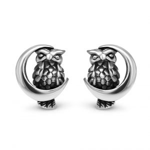 SUVANI Sterling Silver 13 mm Midnight Wisdom Owl On A Crescent Moon Symbol Post Stud Earrings