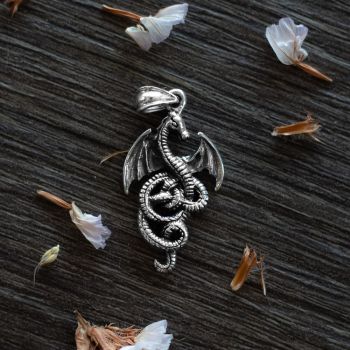 SUVANI Sterling Silver Detailed Medieval Dragon Luck Wisdom and Longevity Pendant Necklace, 18"